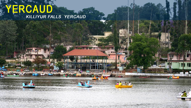 Yercaud Hotels