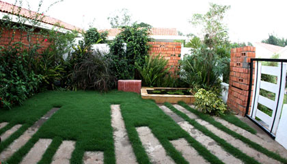 Lawn